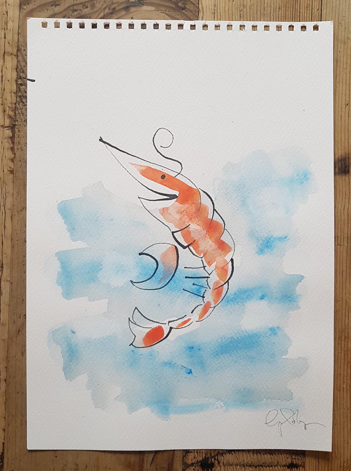 Original A4 Watercolour of prawn to be wild