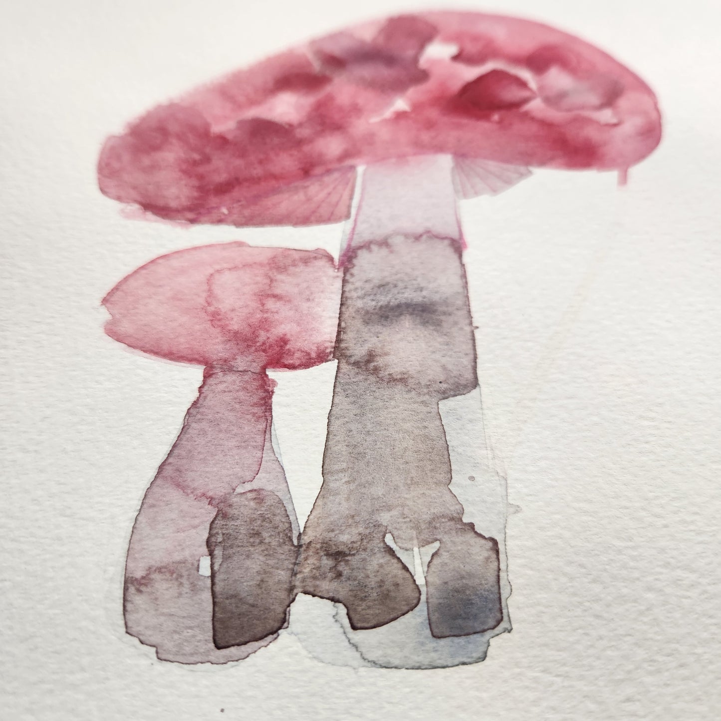 Original artwork for Magic Mushroom