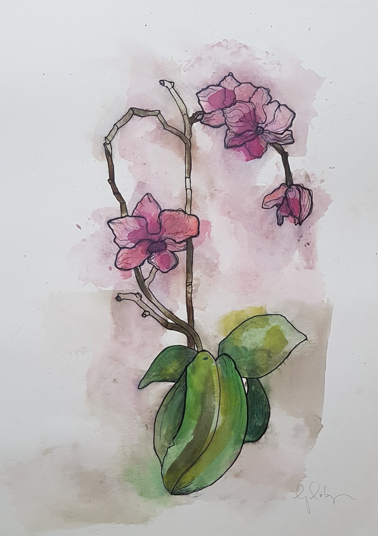 Original artwork for Orchid