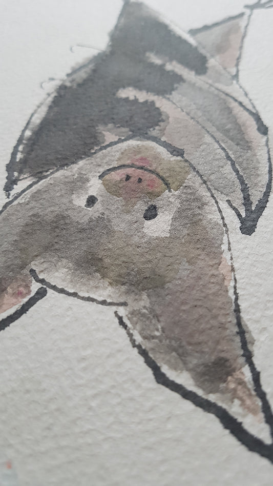 Original A4 Watercolour of totally batty