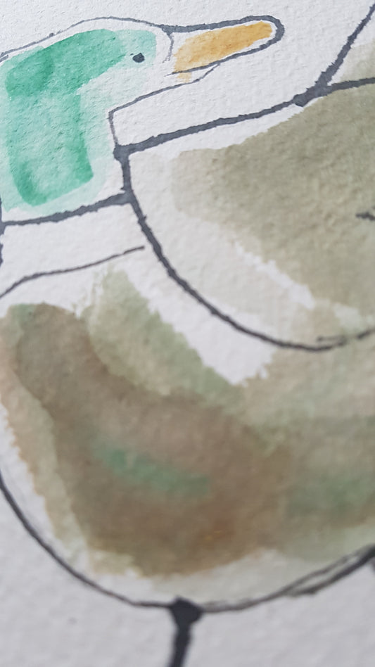 Original A4 Watercolour Best of Duck