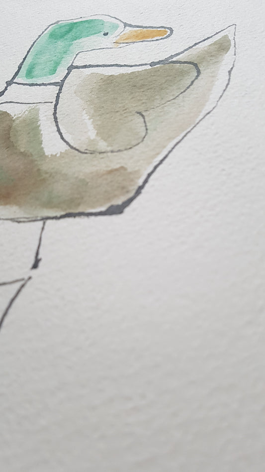 Original A4 Watercolour Best of Duck