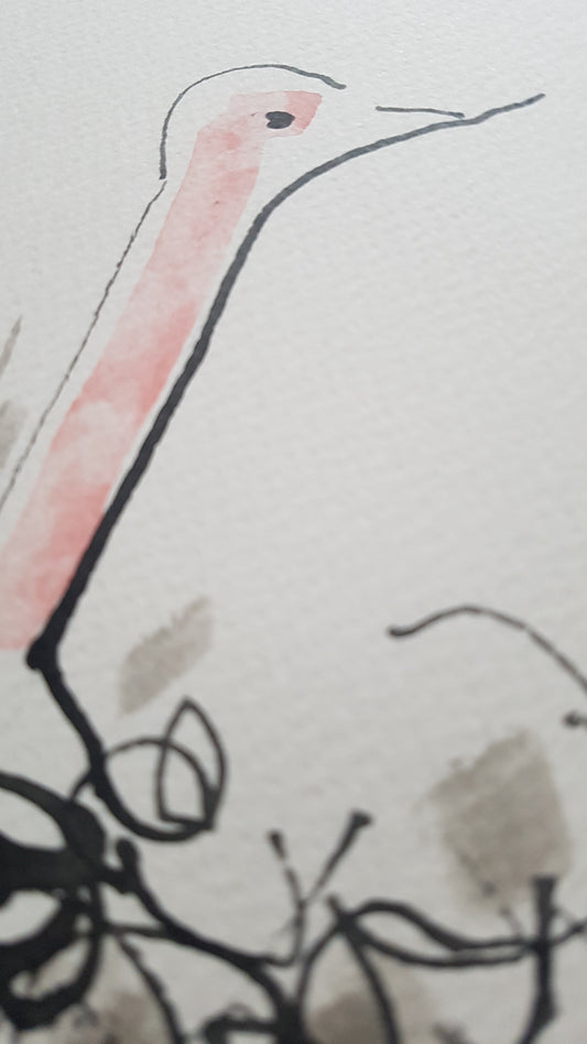 Original A4 Watercolour of ostrich