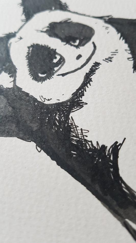 Original A4 Watercolour of pandamonium