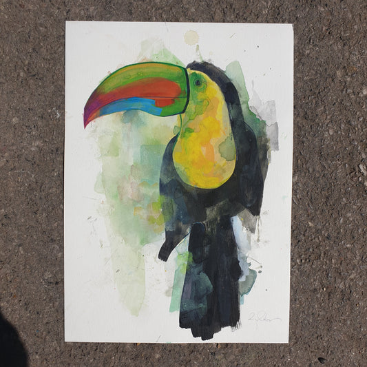 Original artwork for Toucan