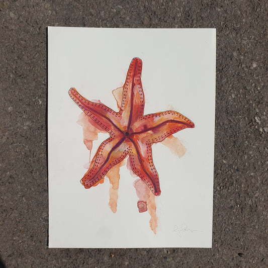 Original artwork for Starfish