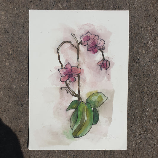 Original artwork for Orchid