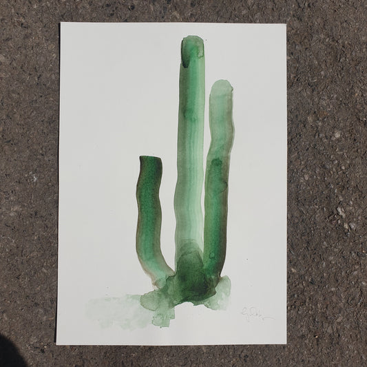 Original artwork for Cactus