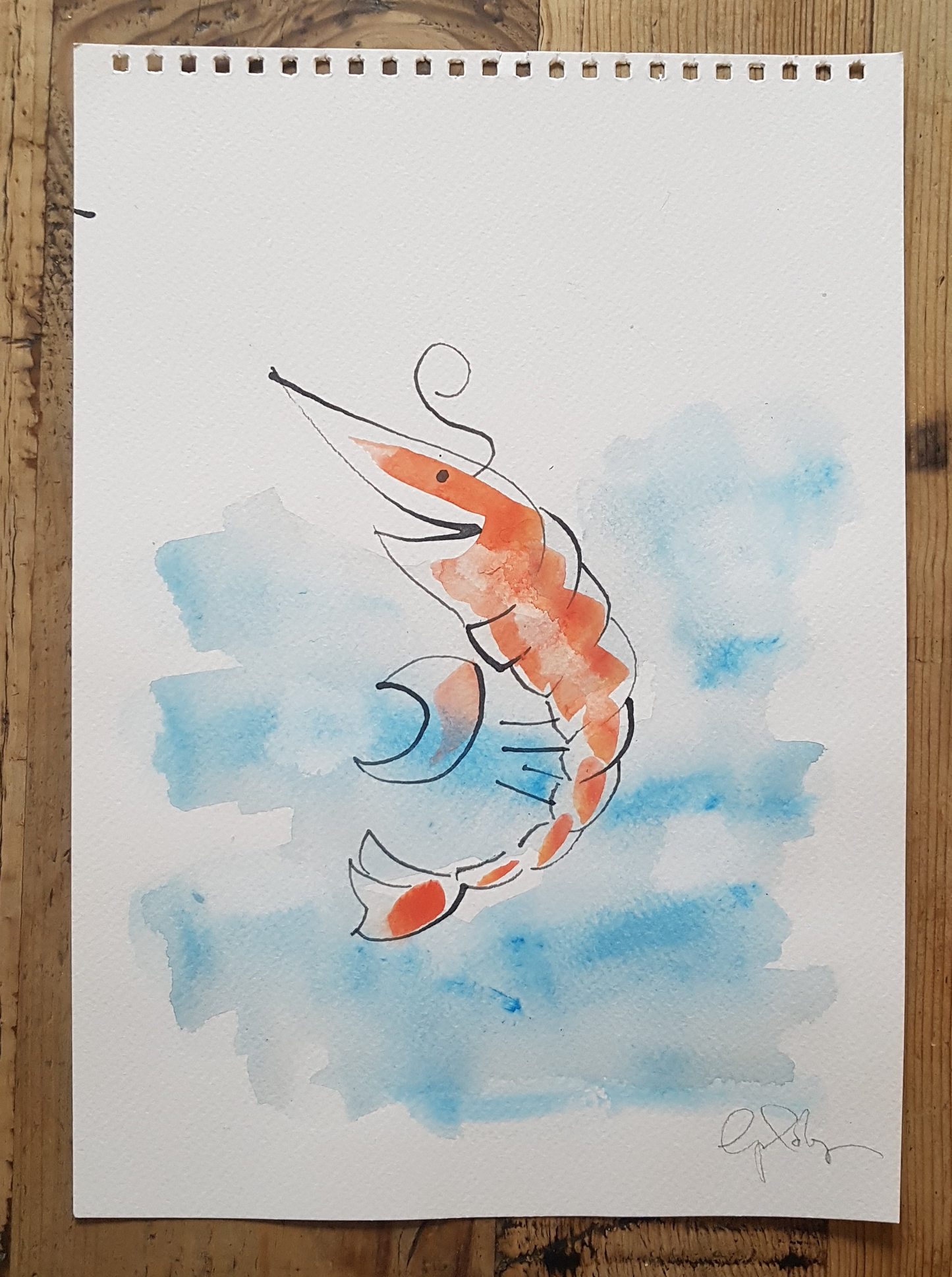 Original A4 Watercolour of prawn to be wild
