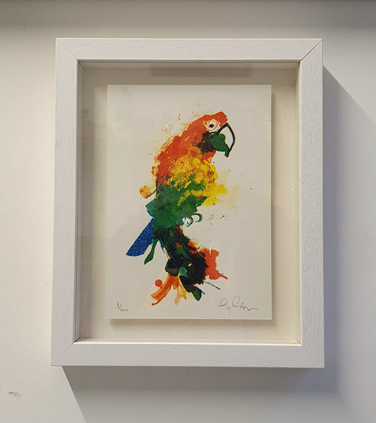 Framed Mini Parrot