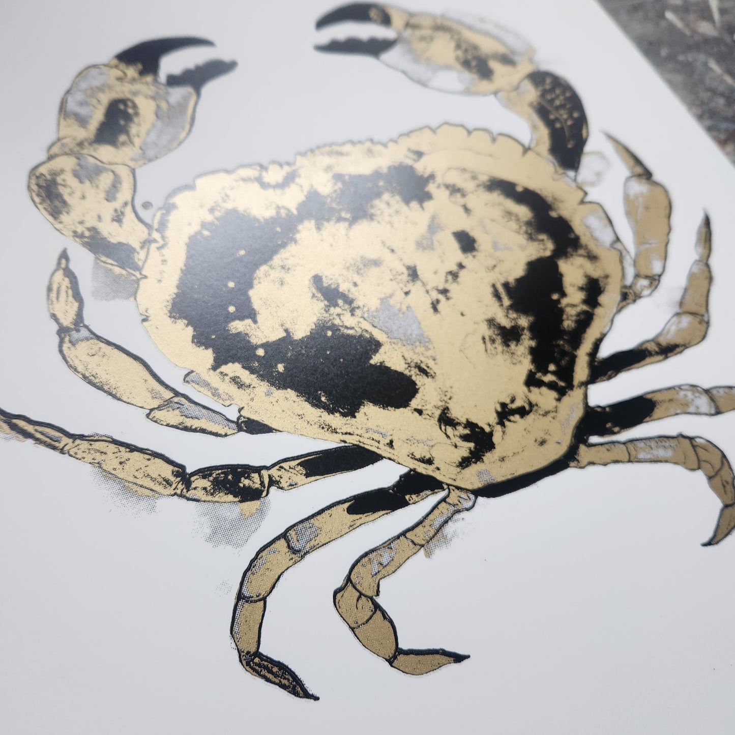 Crab Gold Artist Proofs