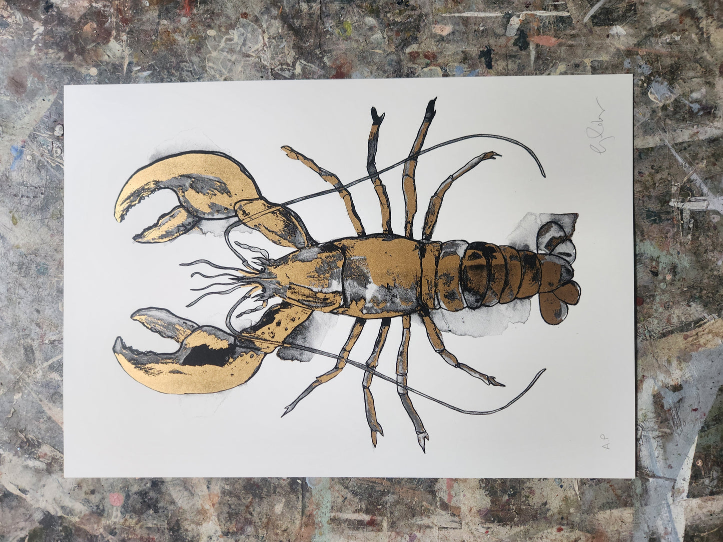 Lobster Gold Artist Proofs