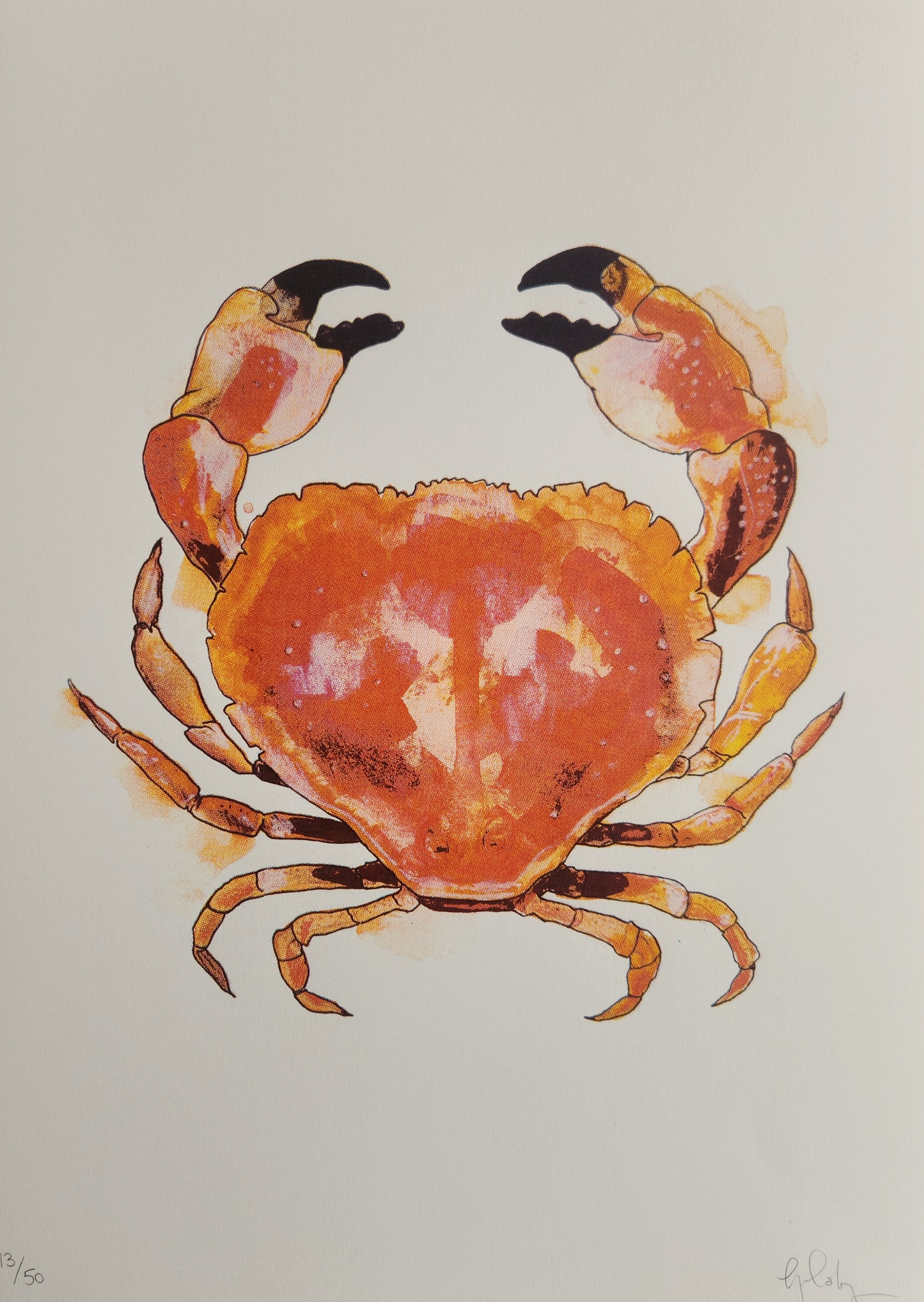 Crab