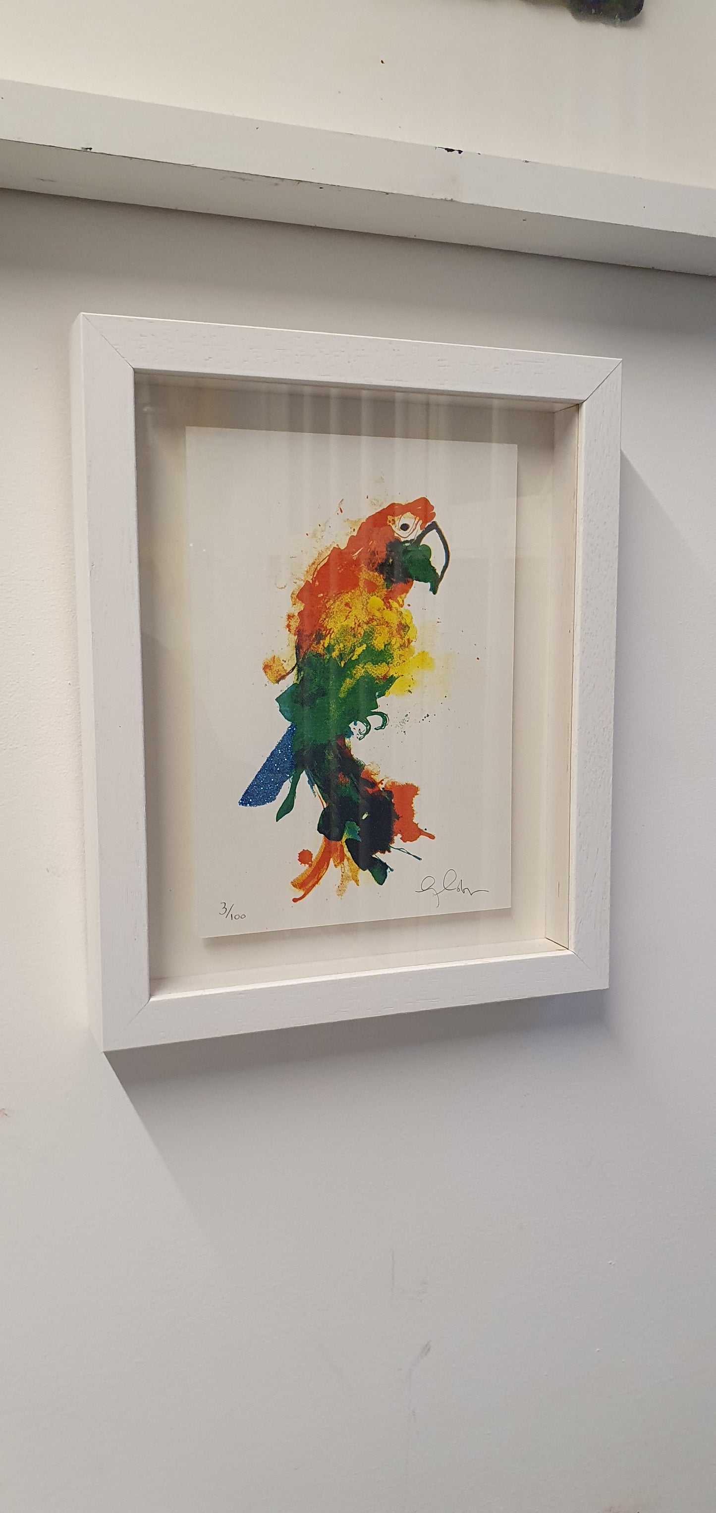 Framed Mini Parrot