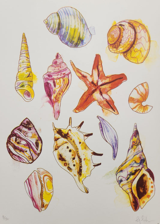 Sea shells