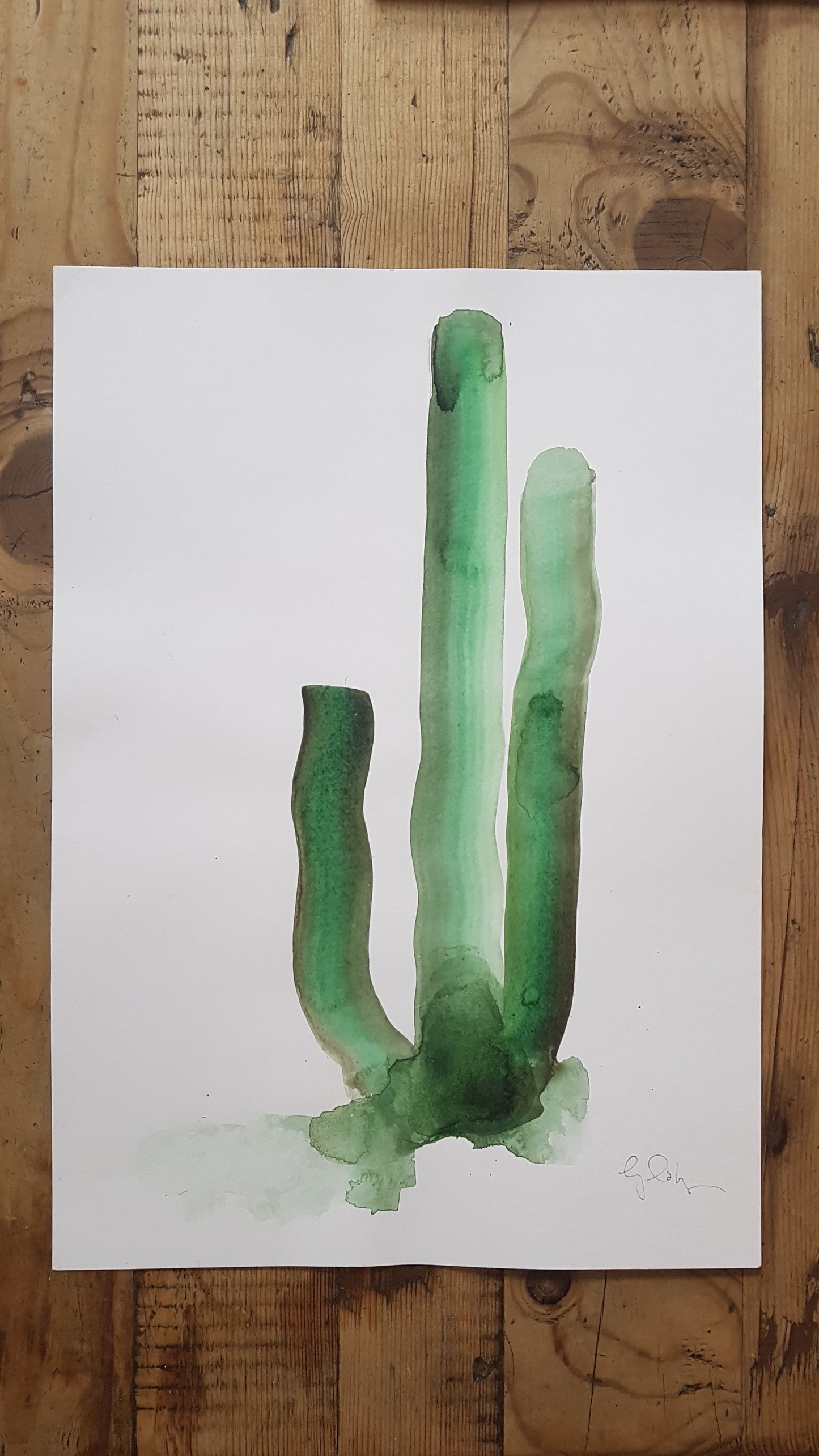 Original artwork for Cactus