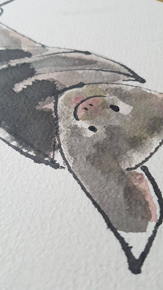 Original A4 Watercolour of totally batty