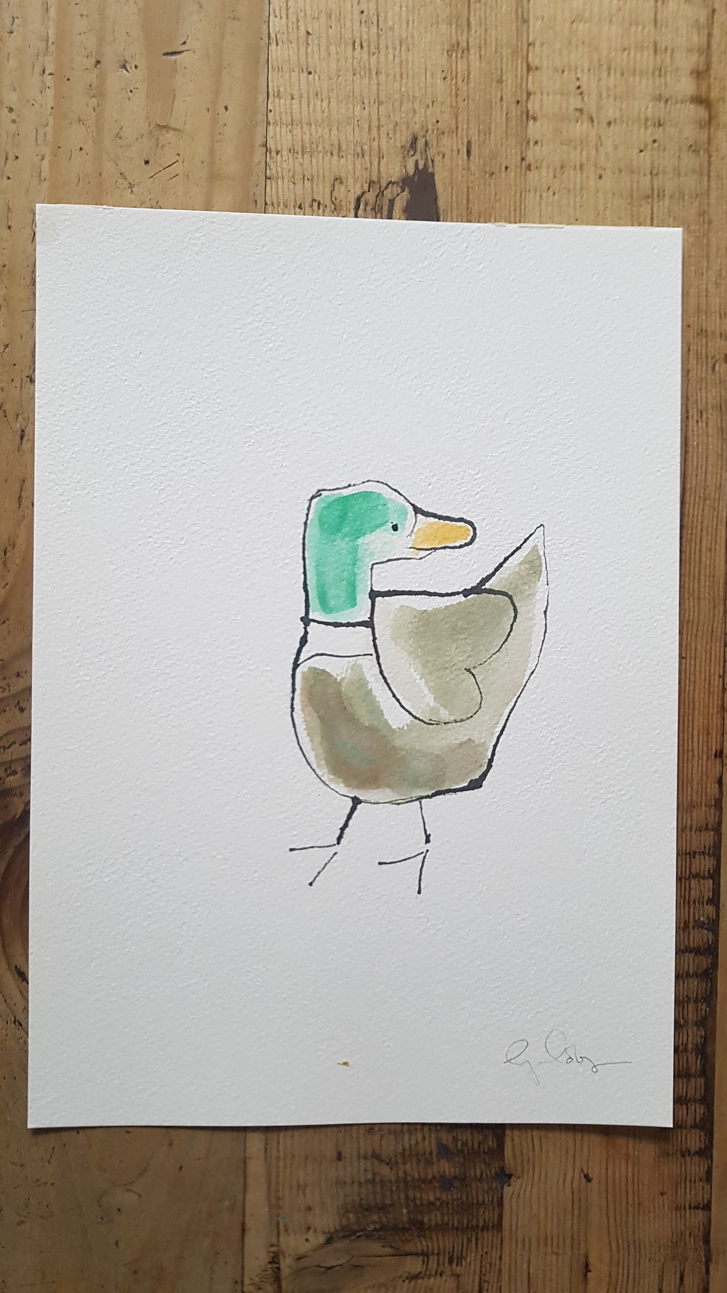 Original A4 Watercolour Best of Duck