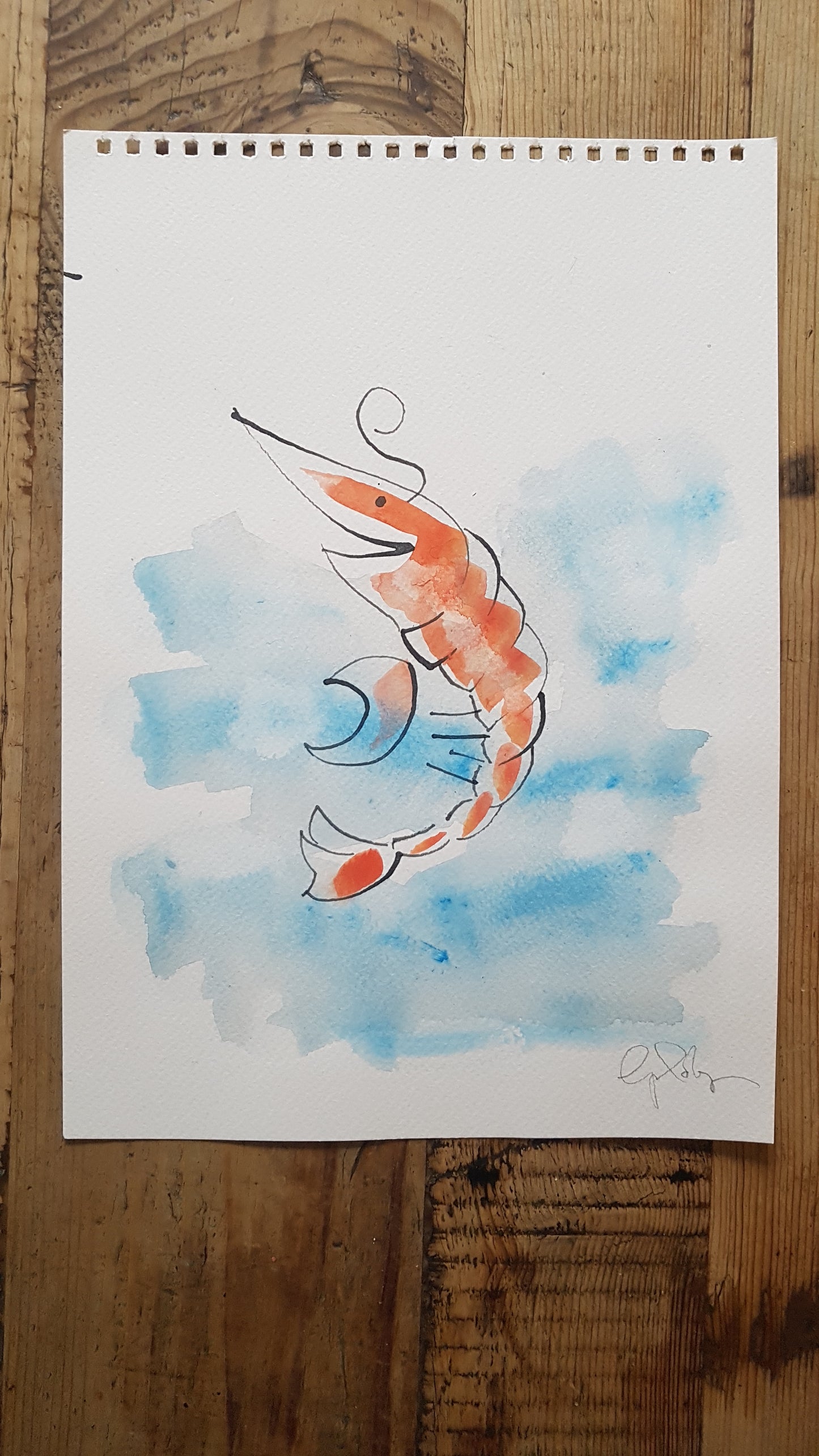 Original A4 Watercolour of prawn to be wild