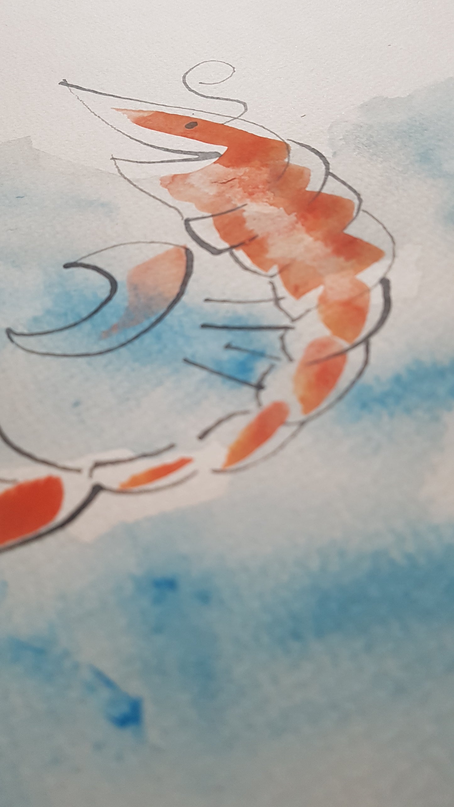 Original A4 Watercolour of prawn to be wild