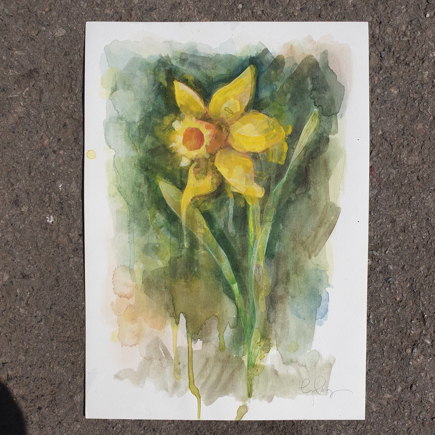 Original artwork for Daffodill