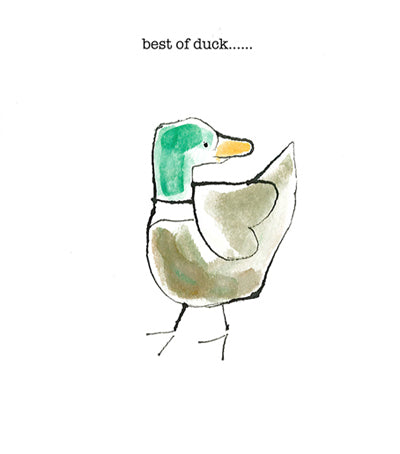Best of duck